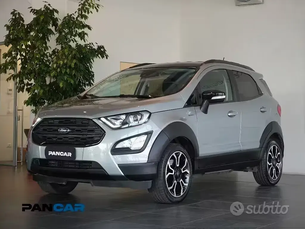 Usata Ford Ecosport Active 125 CV (91 kW) 2022 Grigio SUV