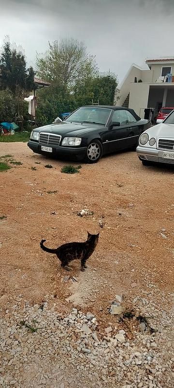 Usata Mercedes E200 1991 Nero Berlina