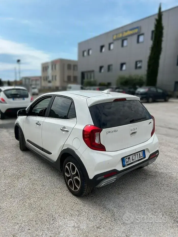 Usata Kia Picanto X-Line 67 CV (49 kW) 2023 Bianco Utilitaria