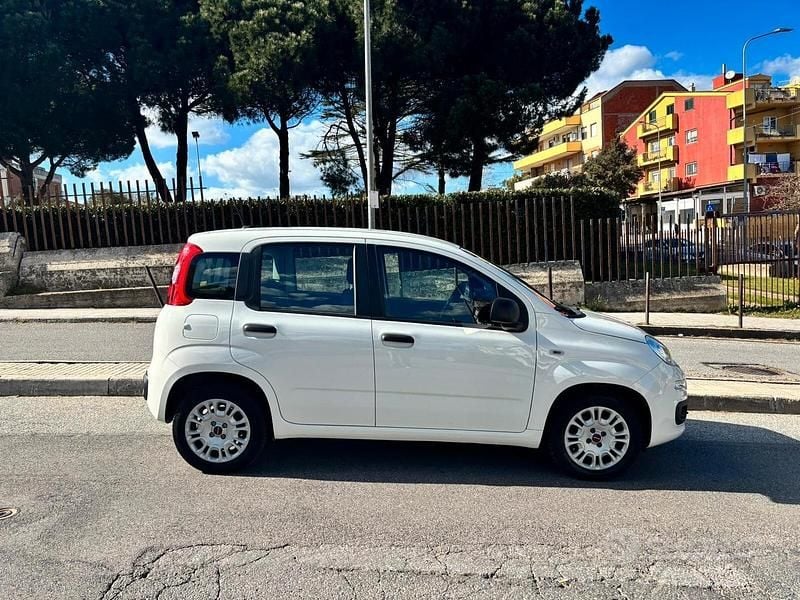 Usata Fiat Panda Easy 69 CV (50 kW) 2020 Bianco Utilitaria