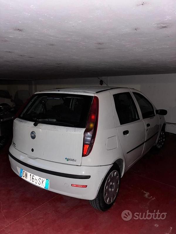 Usata Fiat Punto 2008 Bianco Berlina