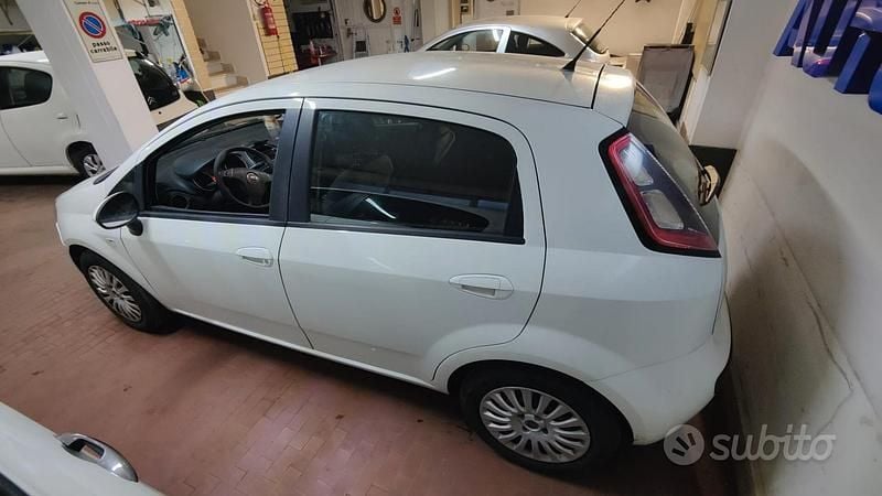 Usata Fiat Punto Evo 69 CV (50 kW) 2011 Bianco Utilitaria