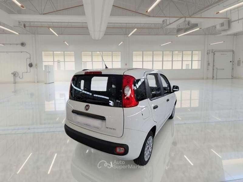 Usata Fiat Panda Sport 69 CV (50 kW) 2021 Bianco pastello Utilitaria