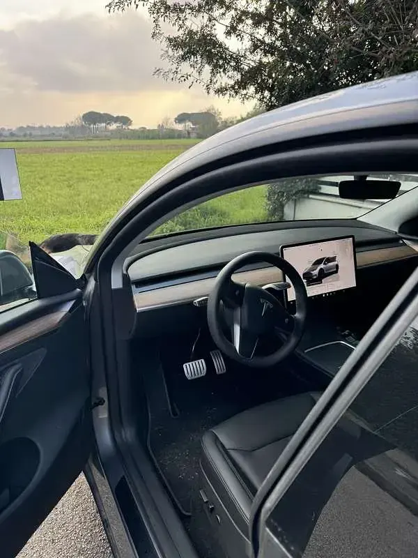 Usata Tesla Model Y Performance 155 kW (211 CV) 2023 SUV