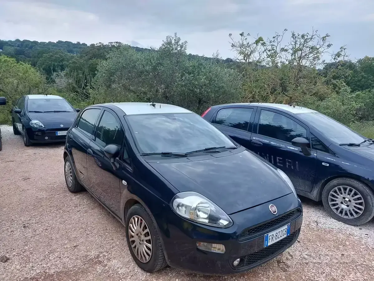 Usata Fiat Punto 95 CV (69 kW) 2018 Blu Utilitaria
