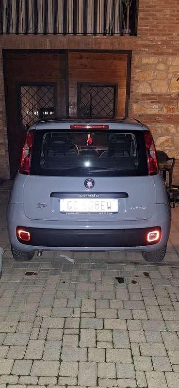 Usata Fiat Panda Easy 69 CV (50 kW) 2020 Grigio Utilitaria