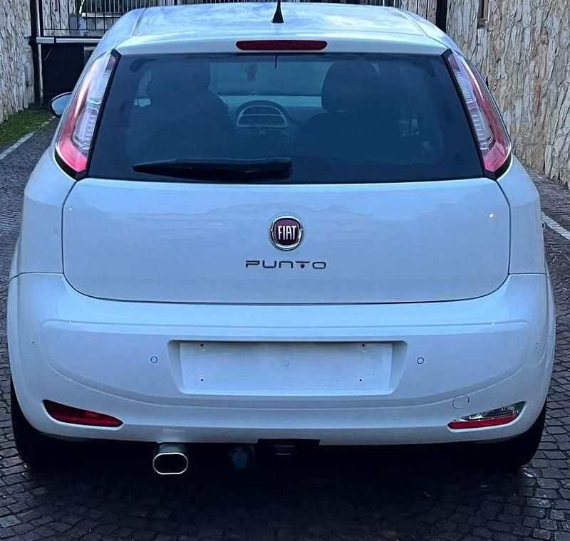 Usata Fiat Punto Evo S 75 CV (55 kW) 2015 Utilitaria