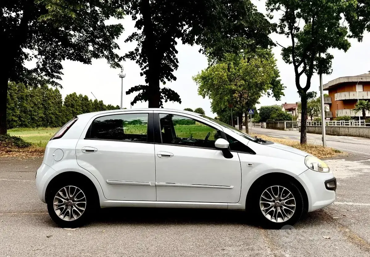 Usata Fiat Punto Evo Dynamic 105 CV (77 kW) 2012 Marrone Utilitaria