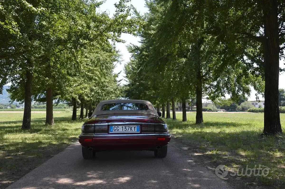 Usata Jaguar XJS 233 CV (171 kW) 1996 Rosso Cabrio