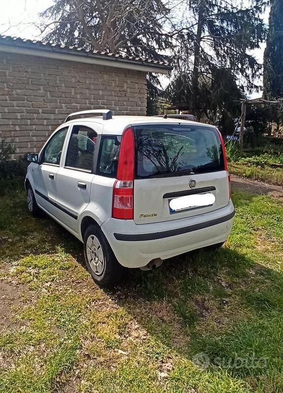 Usata Fiat Panda 60 CV (44 kW) 2008 Bianco Utilitaria