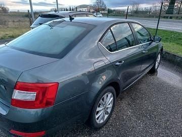 Usata Skoda Octavia Executive 105 CV (77 kW) 2014 Verde Utilitaria