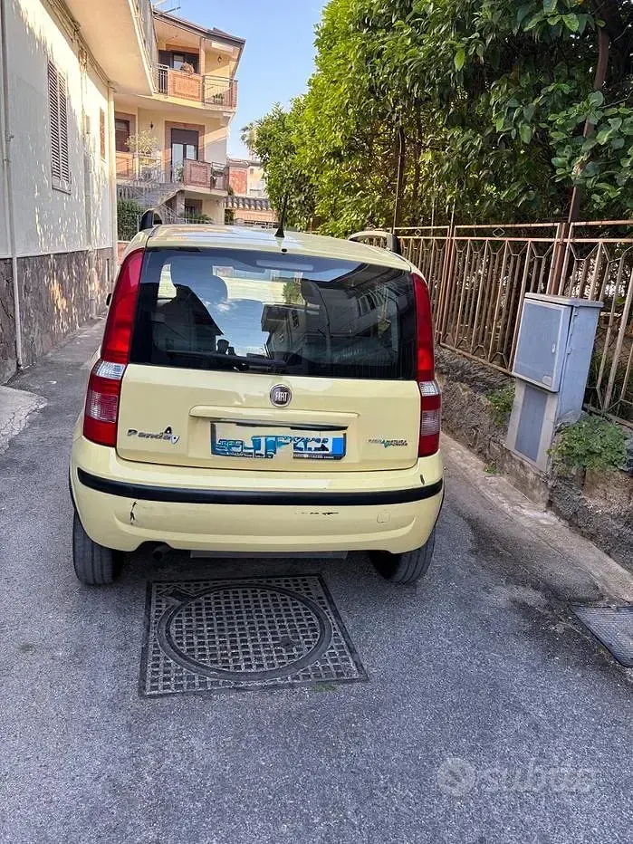 Usata Fiat Panda 60 CV (44 kW) 2009 Giallo Utilitaria