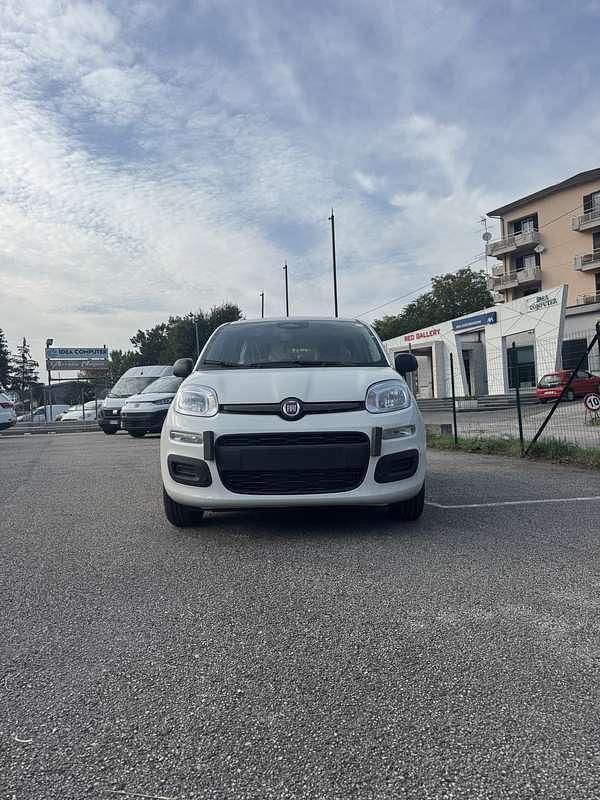 Bianco Nuova 2025 Fiat Panda Due volumi | 14.500 € - Immagine 1/4