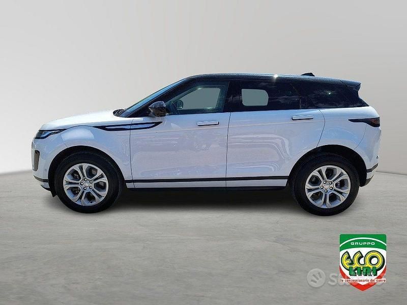Usata Land Rover Range Rover evoque R-Dynamic 160 CV (117 kW) 2021 Bianco SUV