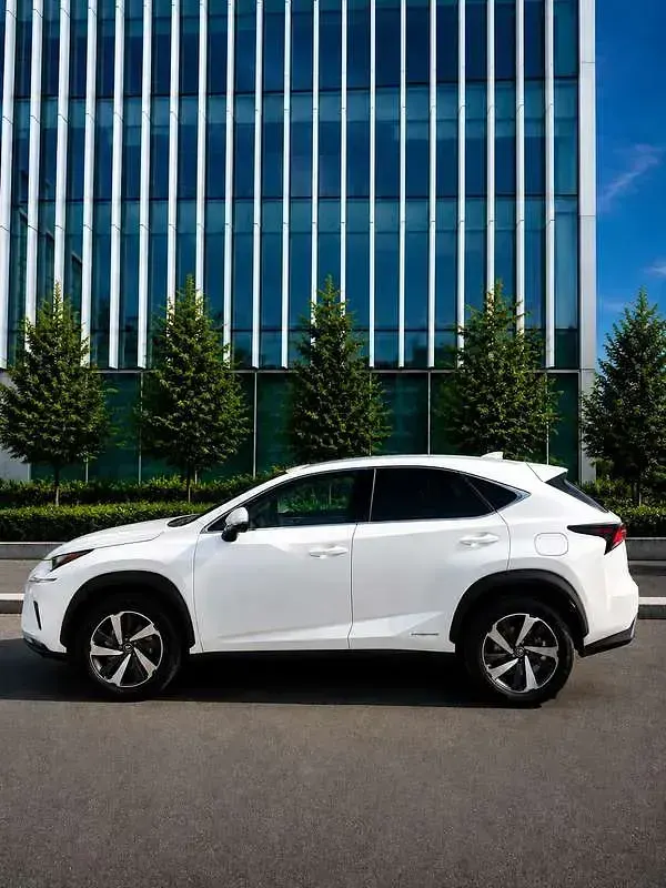 Usata Lexus NX300h E-FOUR Luxury Line 197 CV (144 kW) 2020 SUV