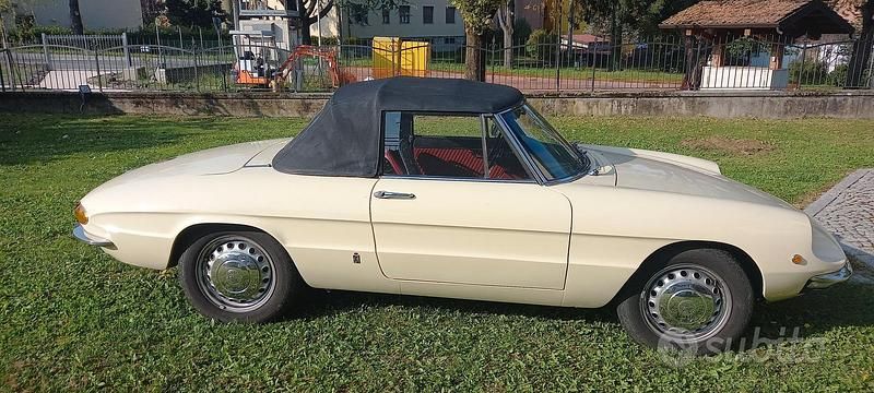 Usata Alfa Romeo Spider 1960 Cabrio