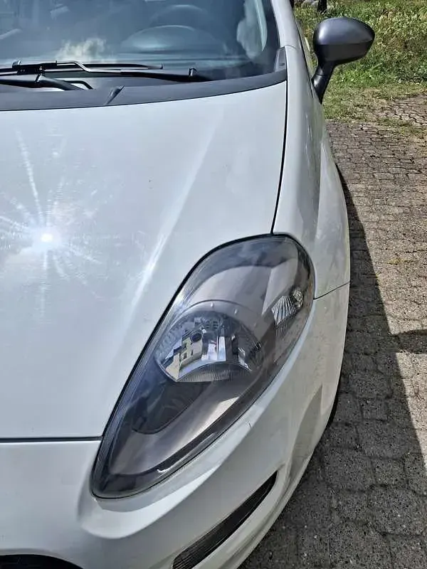 Usata Fiat Punto Lounge 77 CV (56 kW) 2014 Utilitaria