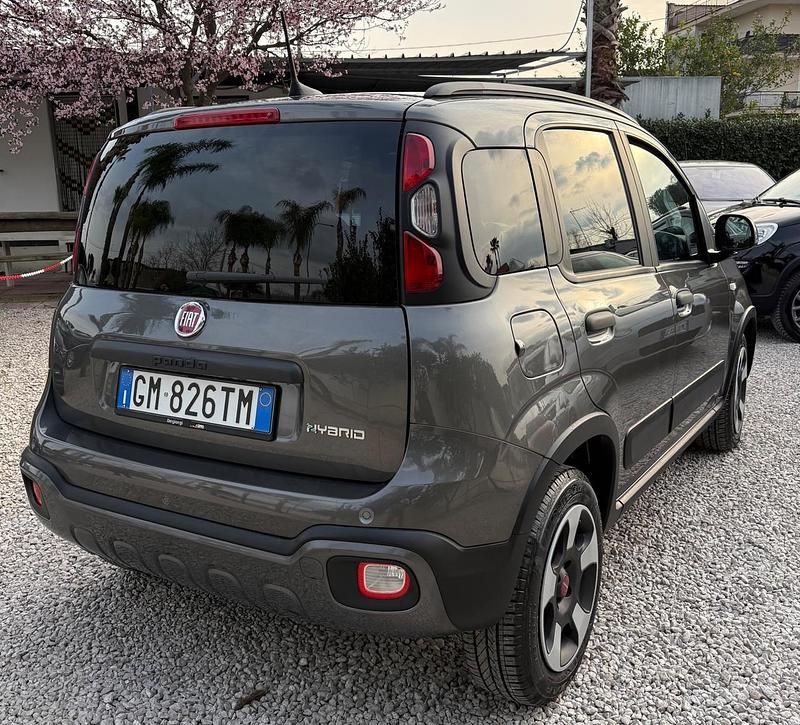 Usata Fiat Panda Cross Cross 69 CV (50 kW) 2023 Grigio Utilitaria
