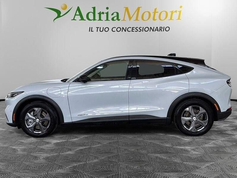 Occasion Ford Mustang Mach-E Standard Range 197 kW (269 PK) 2023 Wit SUV