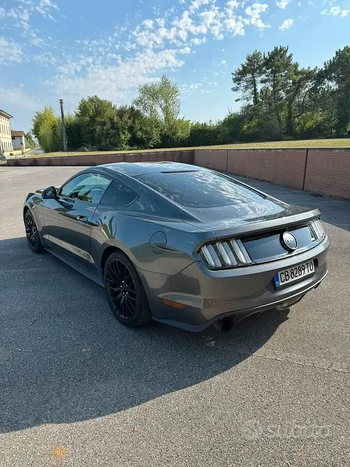 Usata Ford Mustang Fastback 317 CV (233 kW) 2016 Coupé