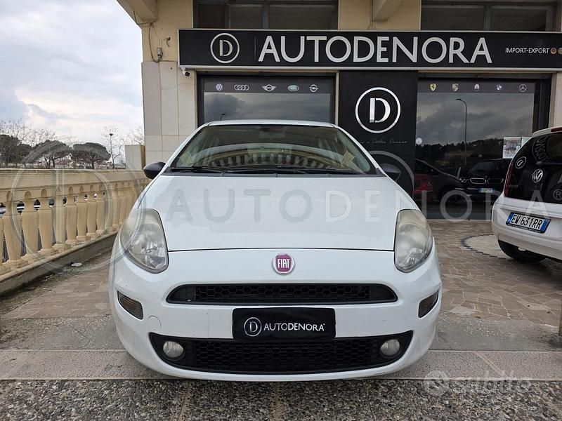 Usata Fiat Punto Pop 75 CV (55 kW) 2014 Bianco Utilitaria