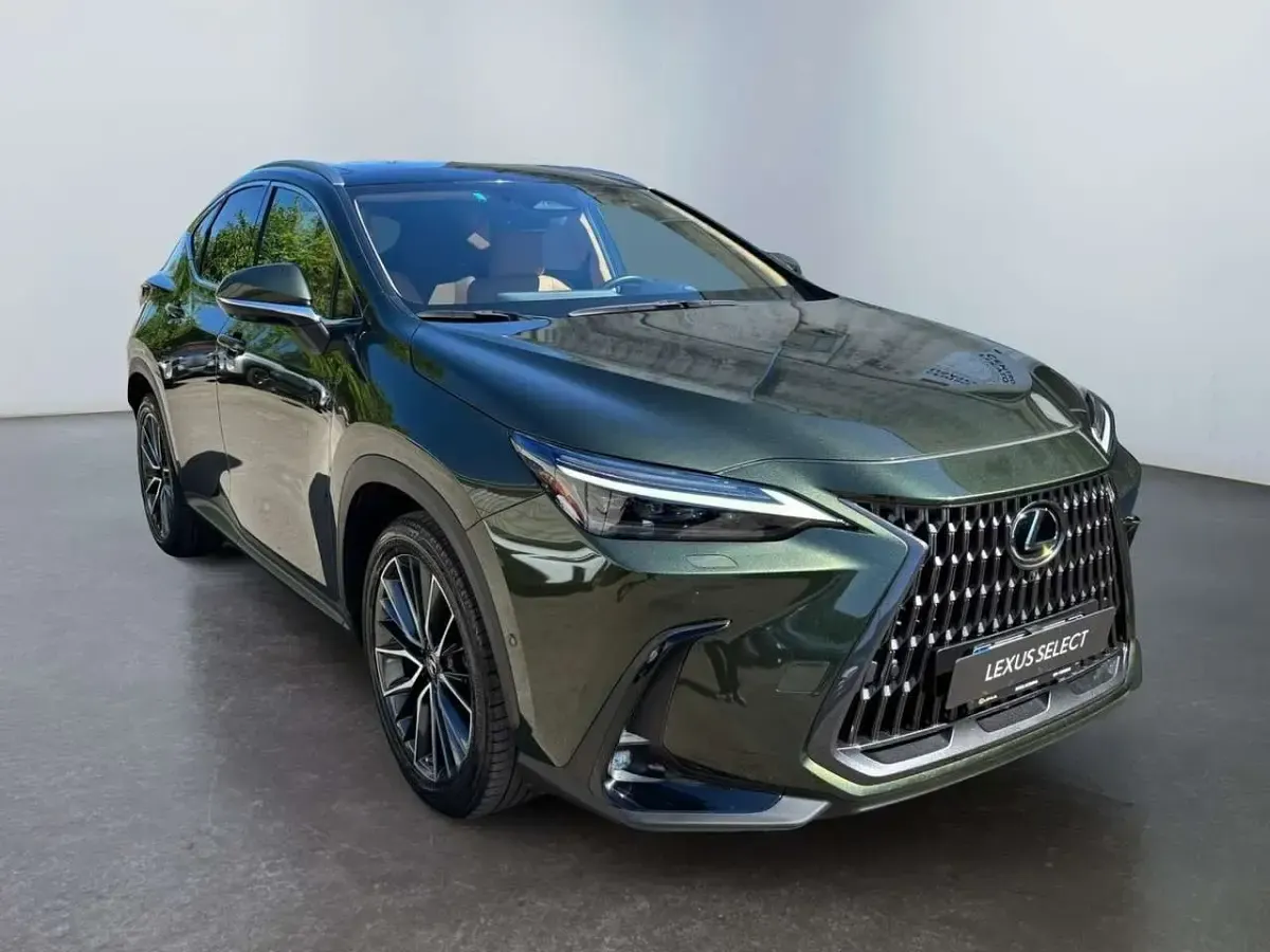 Usata Lexus NX350h Luxury Line 243 CV (178 kW) 2022 Verde SUV