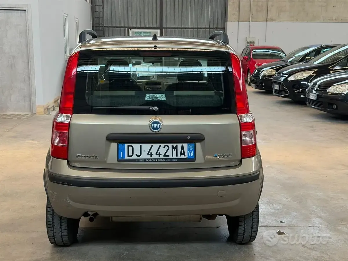 Usata Fiat Panda Dynamic 60 CV (44 kW) 2008 Marrone Utilitaria