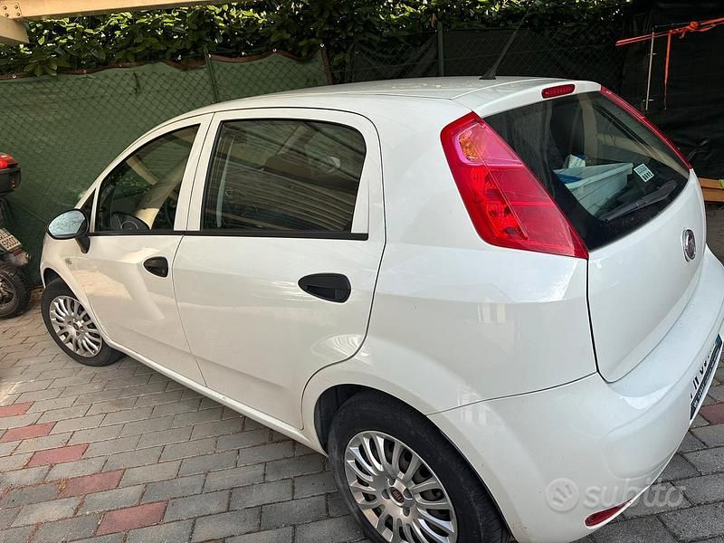 Usata Fiat Punto Classica 69 CV (50 kW) 2018 Bianco Utilitaria