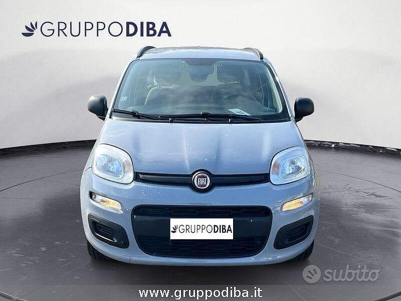 Usata Fiat Panda Easy 69 CV (50 kW) 2019 Grigio Utilitaria
