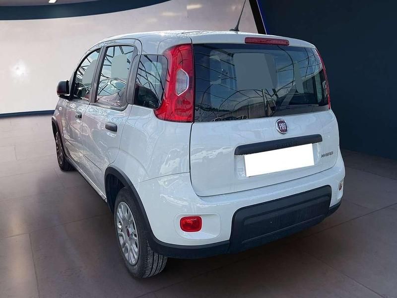 Usata Fiat Panda S 69 CV (50 kW) 2023 Bianco Utilitaria