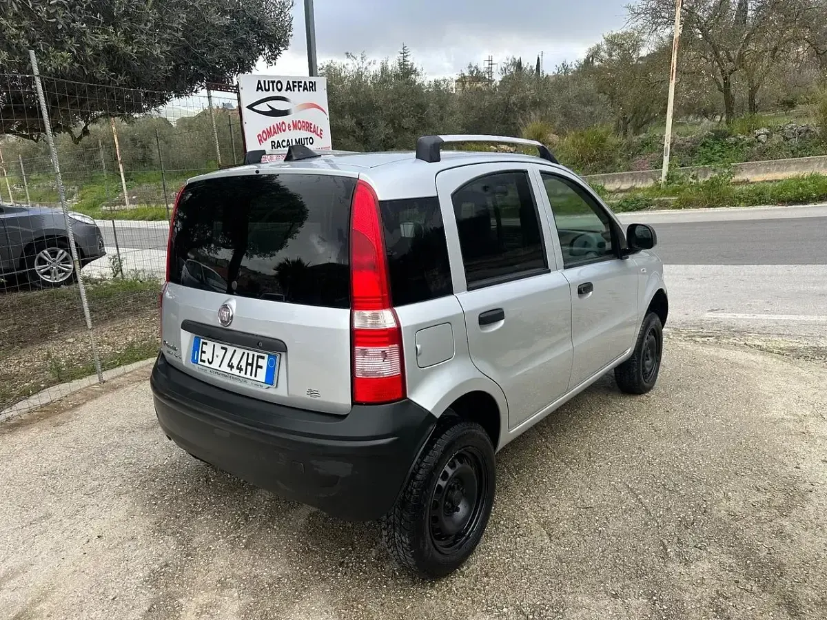 Usata Fiat Panda 4x4 Active 75 CV (55 kW) 2011 Grigio Utilitaria