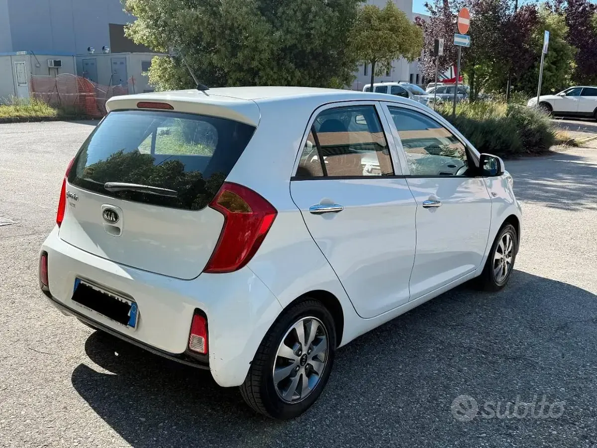 Usata Kia Picanto Active 65 CV (47 kW) 2016 Bianco Utilitaria