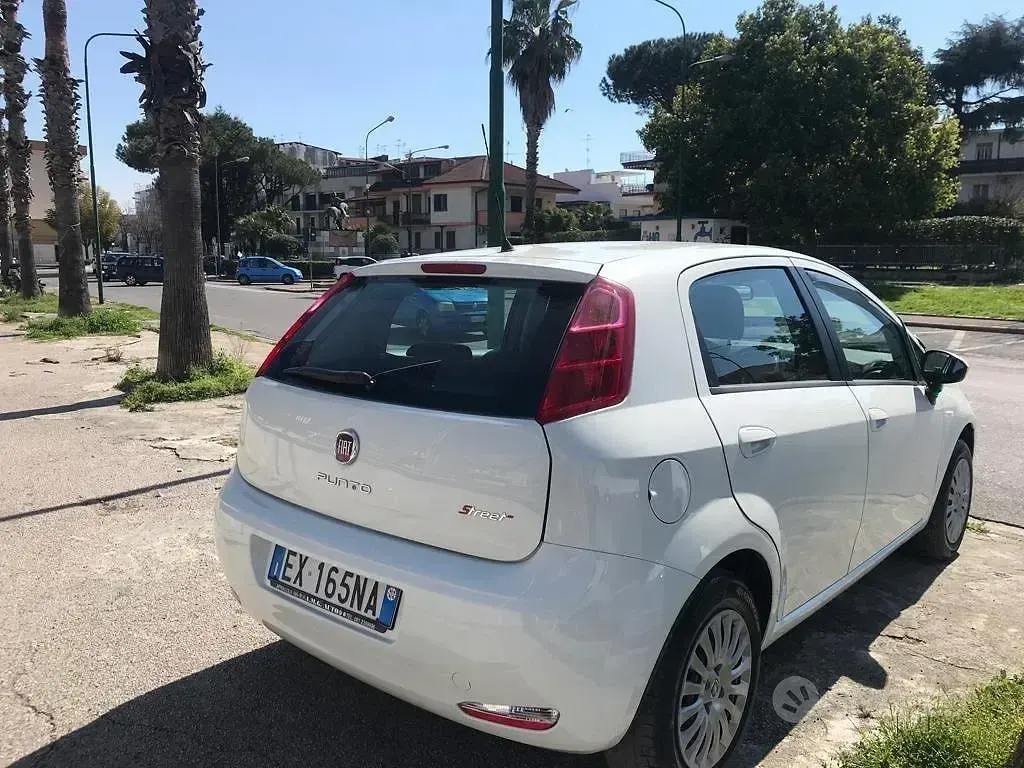 Usata Fiat Punto Lounge 77 CV (56 kW) 2014 Bianco Utilitaria