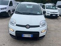 Occasion Fiat Panda S 69 ch (50 kW) 2023 Blanc Citadine