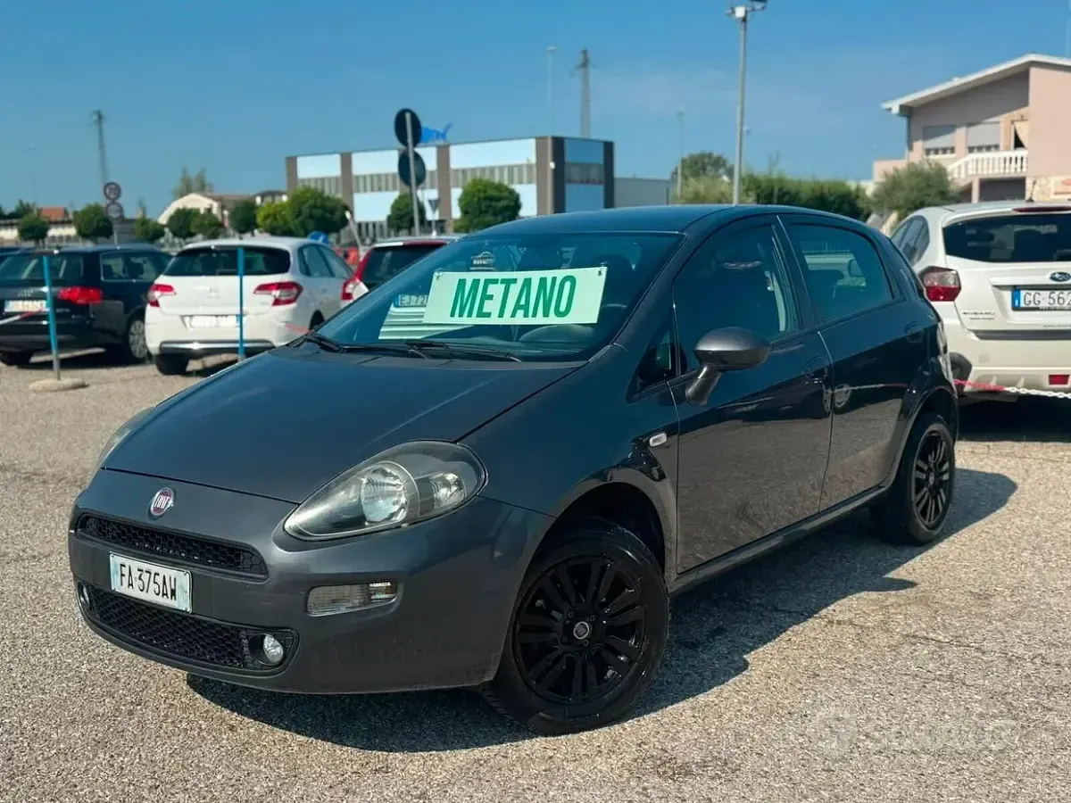 Usata Fiat Punto Lounge 70 CV (51 kW) 2015 Utilitaria
