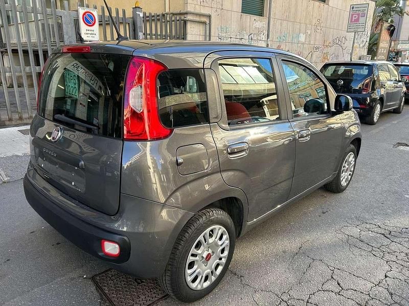 Usata Fiat Panda Easy 69 CV (50 kW) 2020 Grigio Utilitaria
