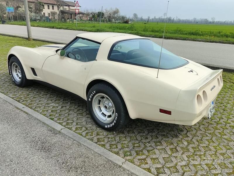 Usata 1981 Corvette Stingray | 29.900 € - Immagine 1/4
