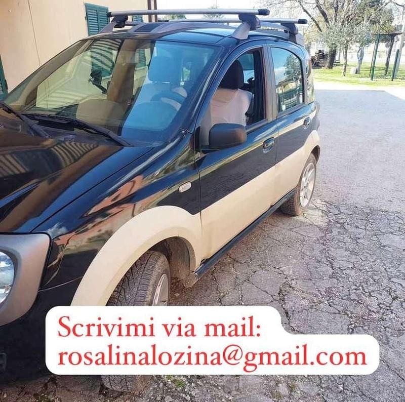 Usata Fiat Panda 4x4 Cross 69 CV (50 kW) 2006 Verde Utilitaria