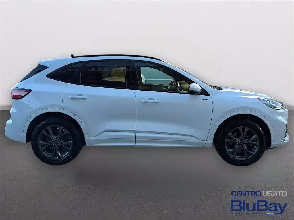 Usata Ford Kuga ST-Line X 225 CV (165 kW) 2023 Bianco SUV