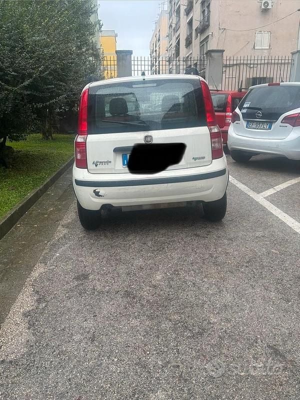 Usata Fiat Panda 60 CV (44 kW) 2006 Bianco Berlina