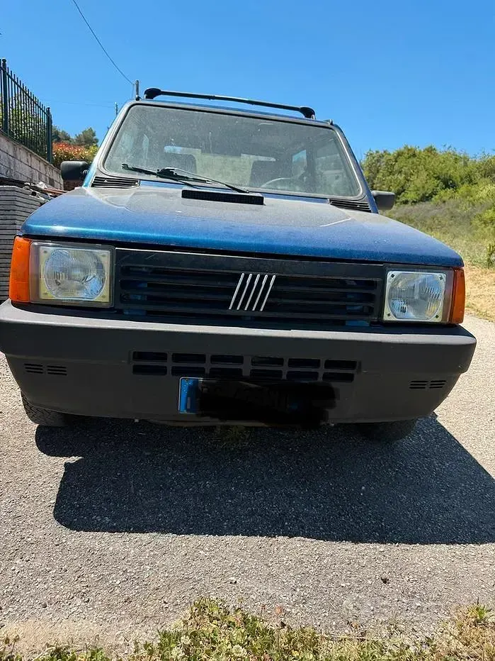 Usata Fiat Panda 4x4 Trekking 54 CV (39 kW) 2001 Utilitaria