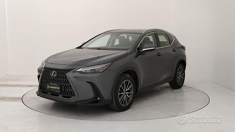 Usata Lexus NX350h Business Edition 244 CV (179 kW) 2022 Grigio SUV