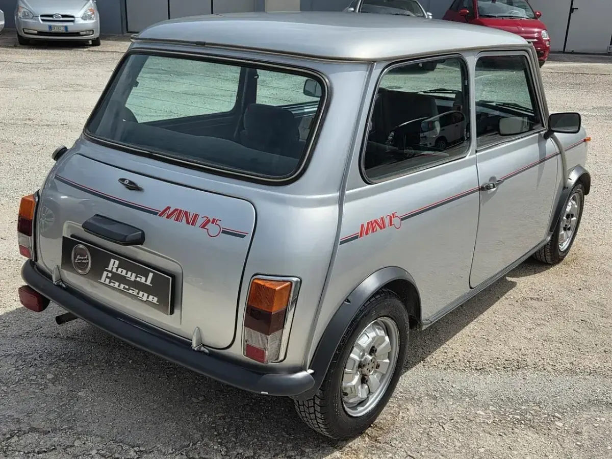 Usata Mini 1000 Special Edition 44 CV (32 kW) 1984 Argento Utilitaria