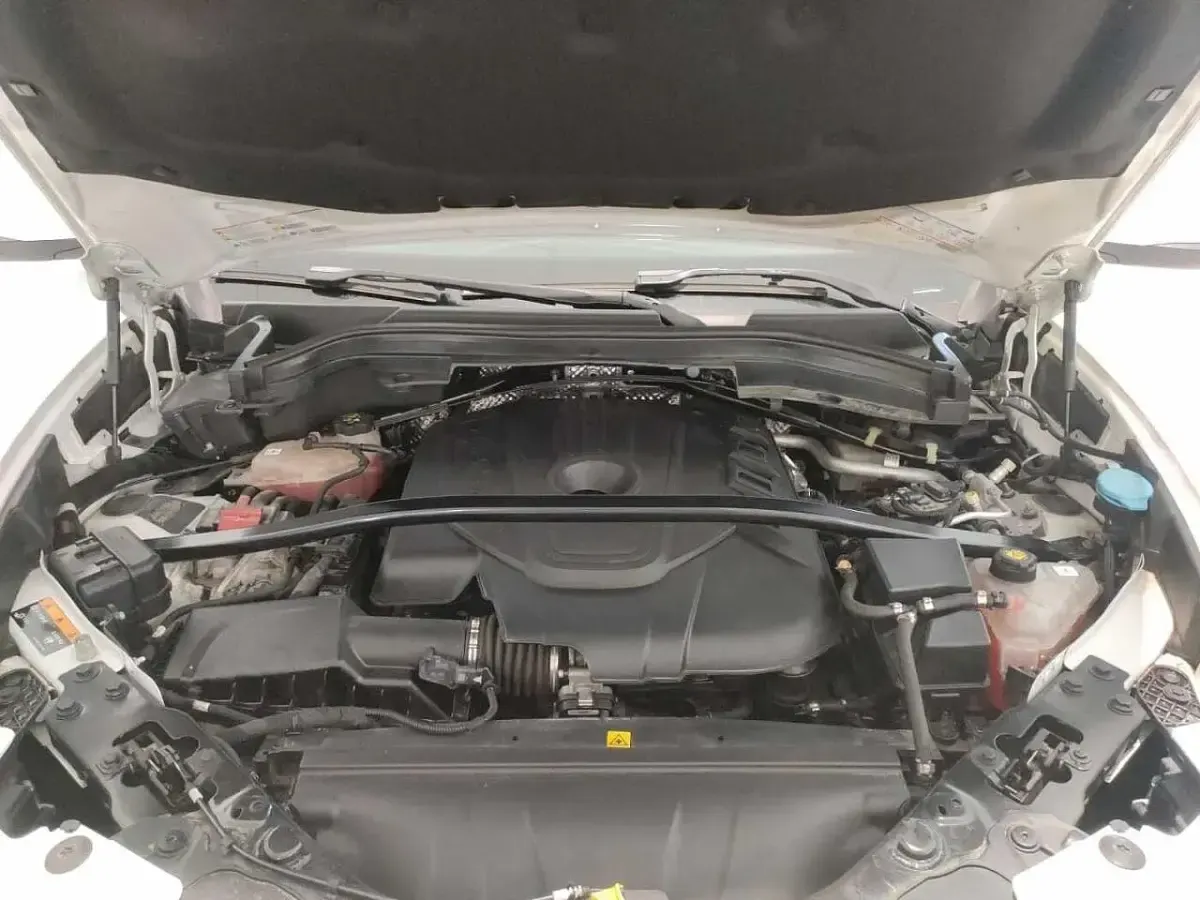 Usata Alfa Romeo Stelvio Executive 190 CV (139 kW) 2019 Bianco SUV