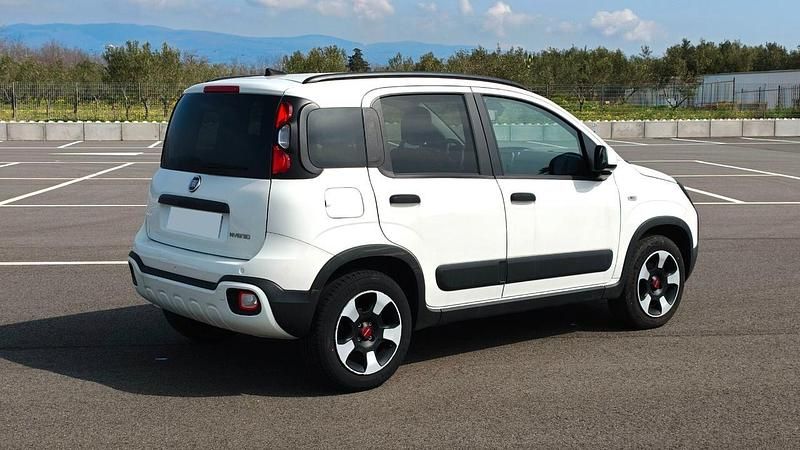 Usata Fiat Panda S 69 CV (50 kW) 2024 Bianco Utilitaria