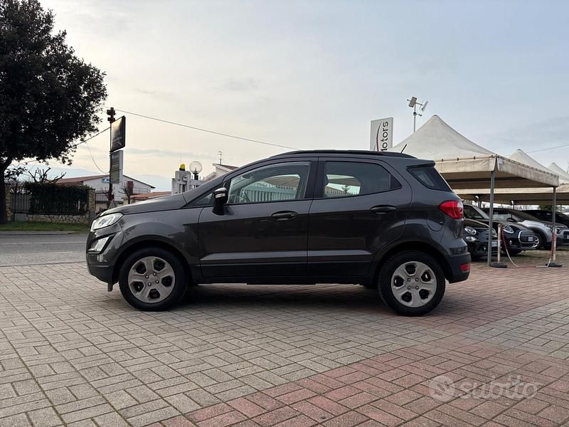 Usata Ford Ecosport Business Edition 100 CV (73 kW) 2019 Grigio SUV
