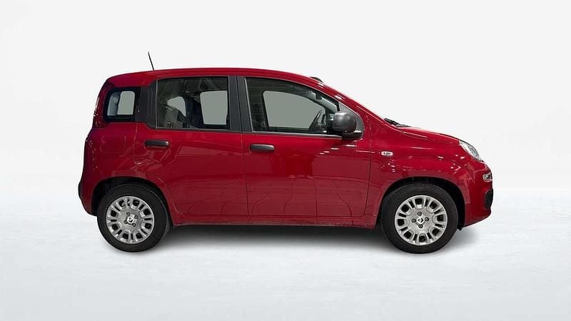 Usata Fiat Panda S 69 CV (50 kW) 2025 Rosso Berlina