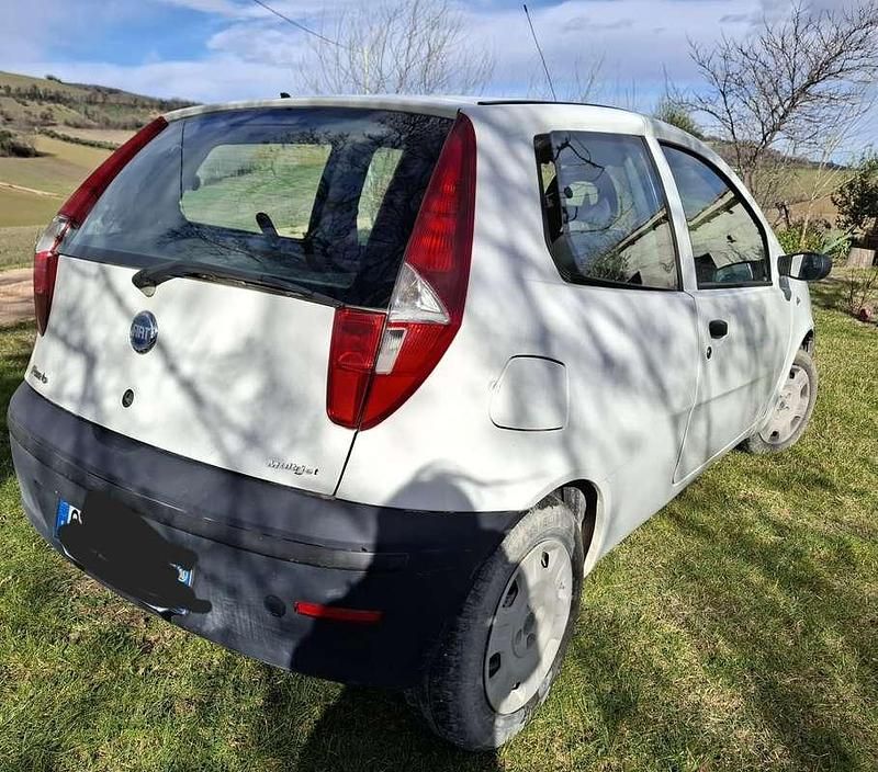 Usata Fiat Punto 101 CV (74 kW) 2006 Bianco Utilitaria