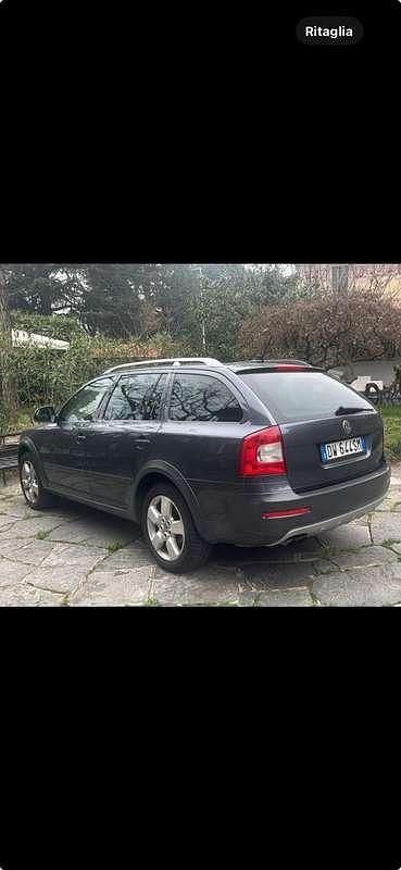 Usata Skoda Octavia Scout 4x4 160 CV (117 kW) 2009 Grigio Station wagon