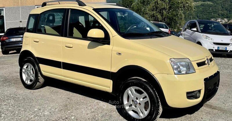 Usata Fiat Panda 4x4 60 CV (44 kW) 2007 Giallo Utilitaria